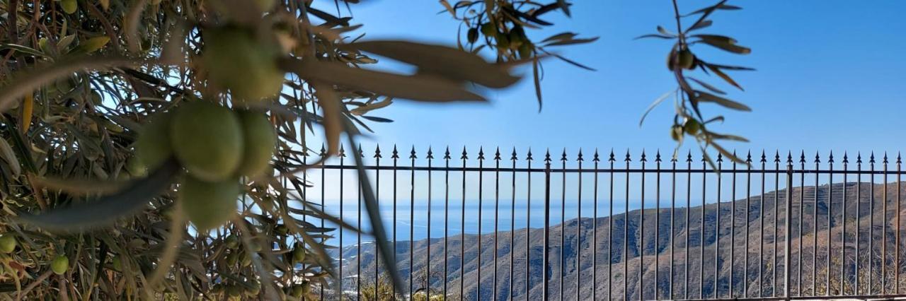 Cortijo Blanco Villa Albondon Eksteriør billede