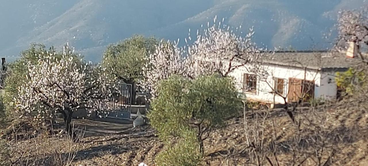 Cortijo Blanco Villa Albondon Eksteriør billede