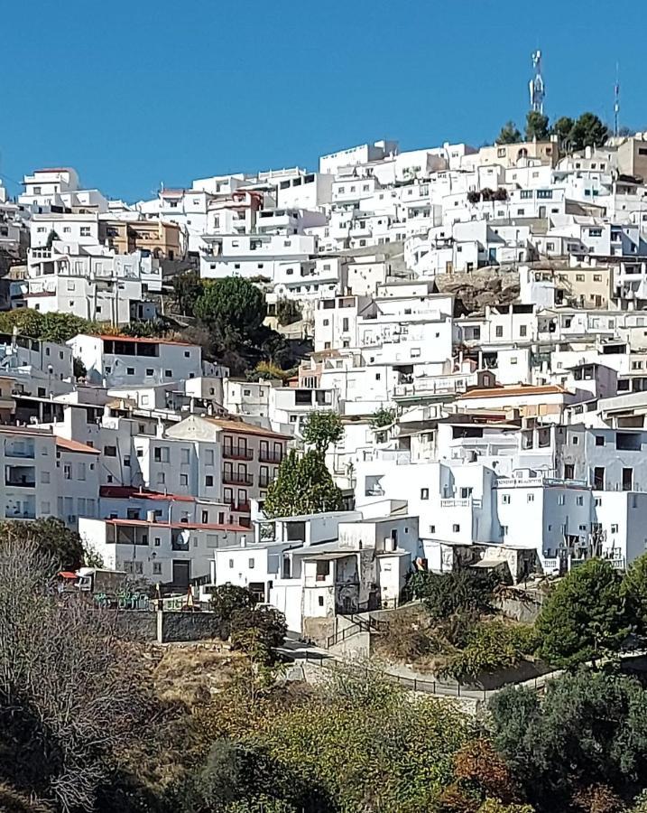 Cortijo Blanco Villa Albondon Eksteriør billede