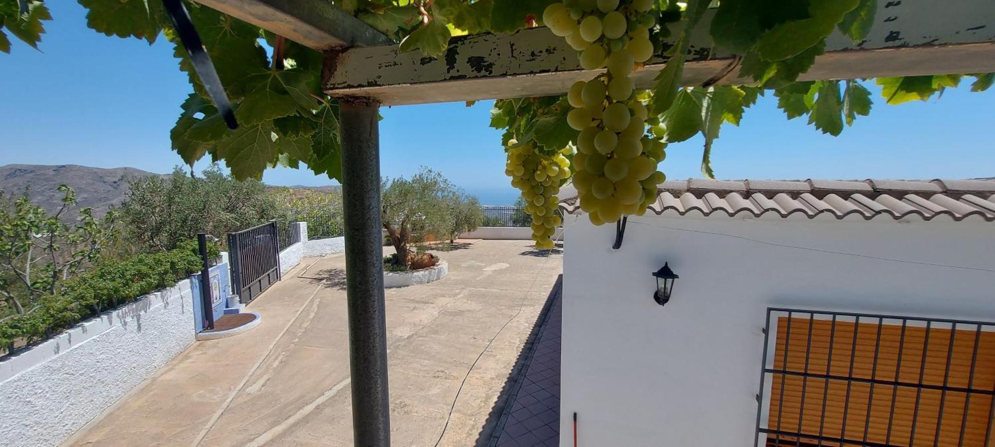Cortijo Blanco Villa Albondon Eksteriør billede