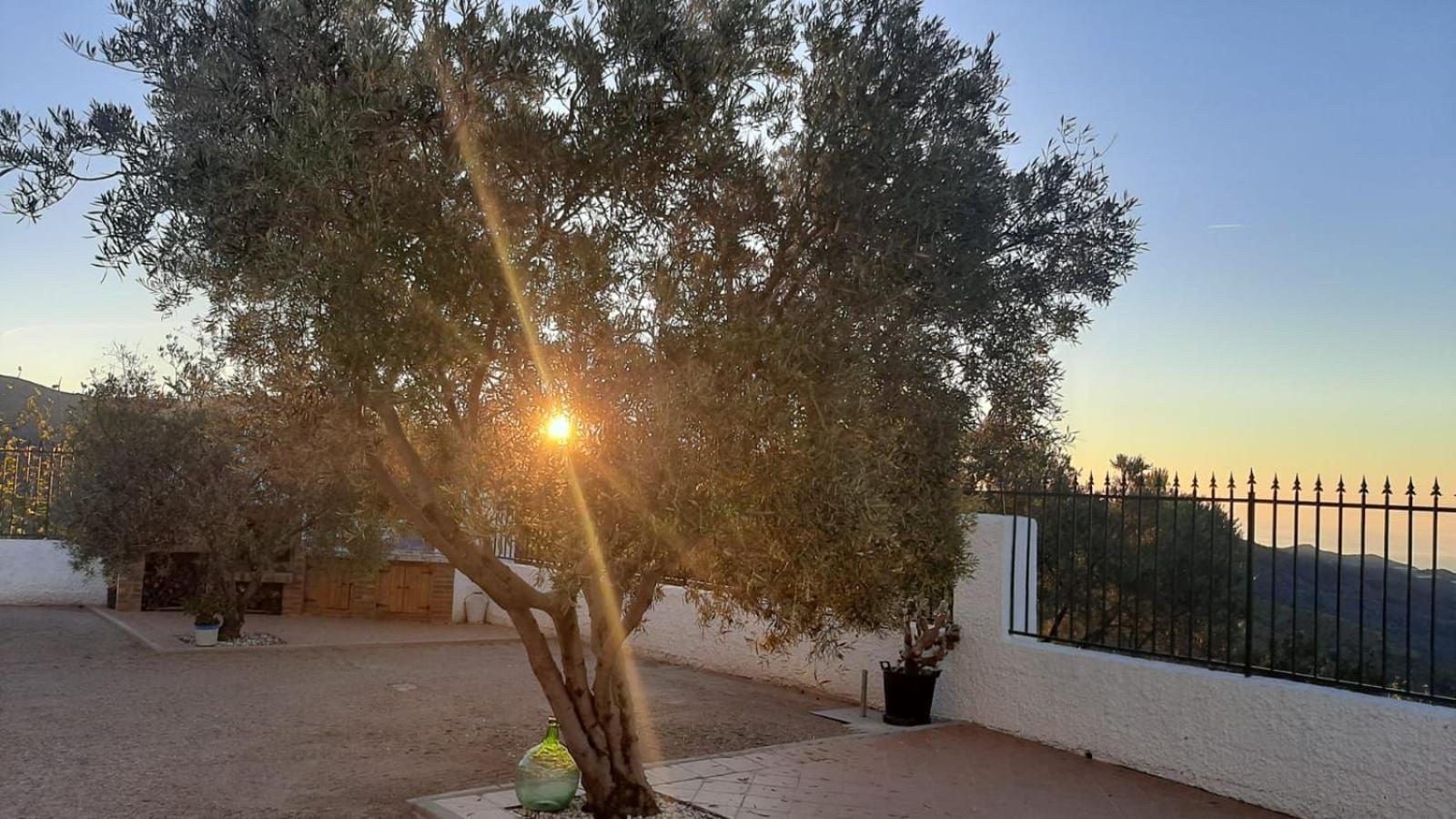 Cortijo Blanco Villa Albondon Eksteriør billede