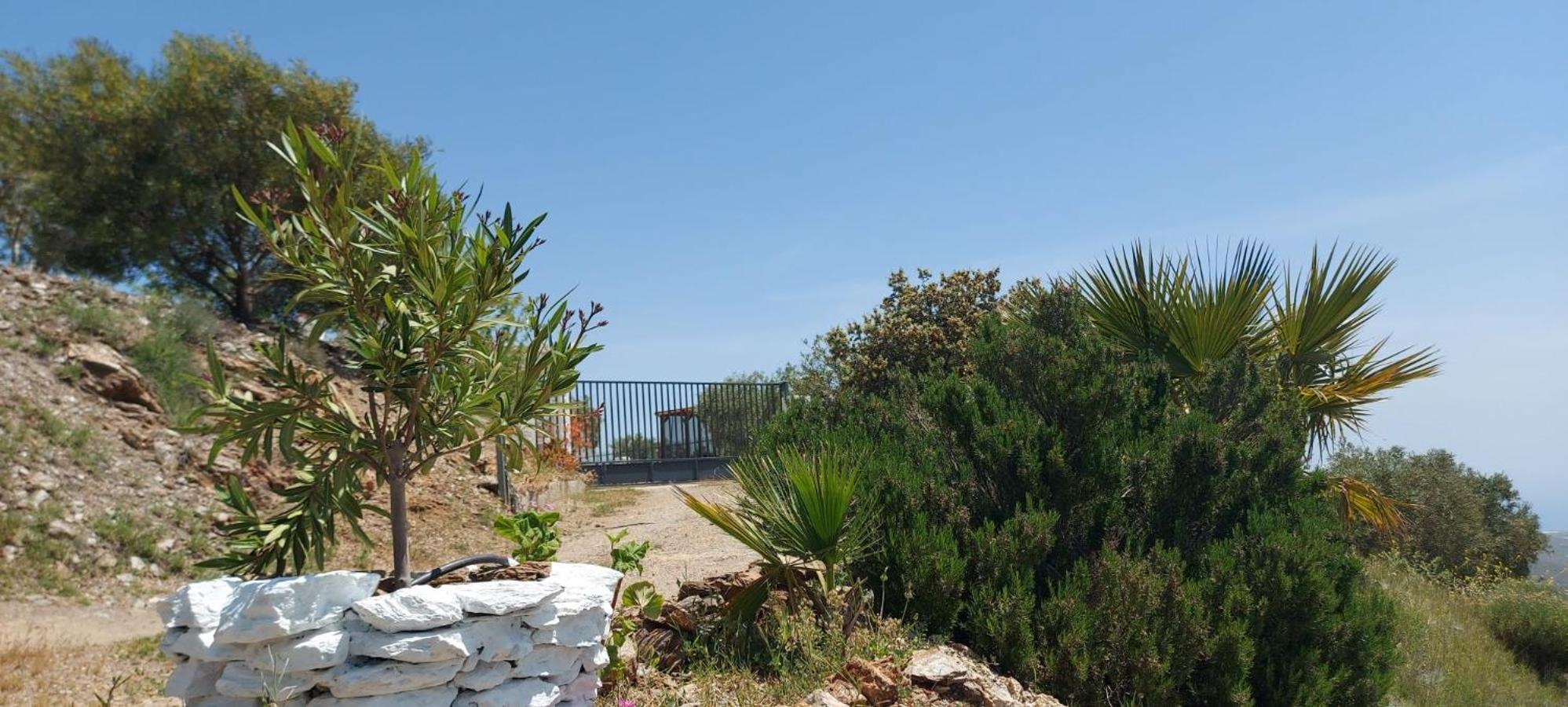 Cortijo Blanco Villa Albondon Eksteriør billede