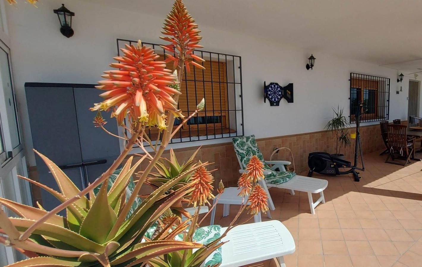 Cortijo Blanco Villa Albondon Eksteriør billede