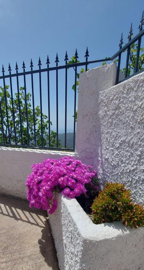 Cortijo Blanco Villa Albondon Eksteriør billede